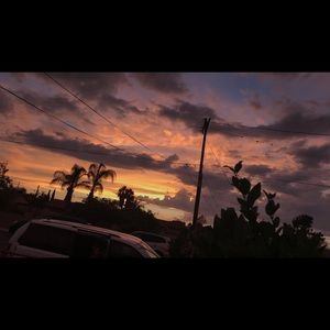 Meet your Posher, Layla